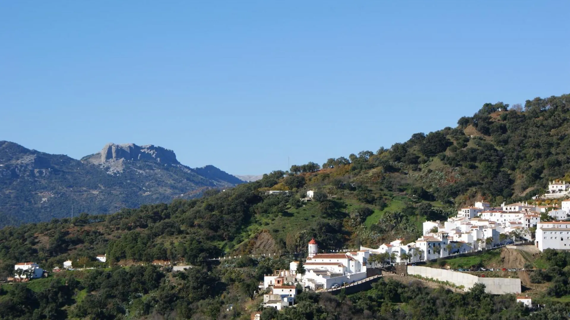 Apartamentos Rurales Jardines Del Visir 헤날과실 스페인
