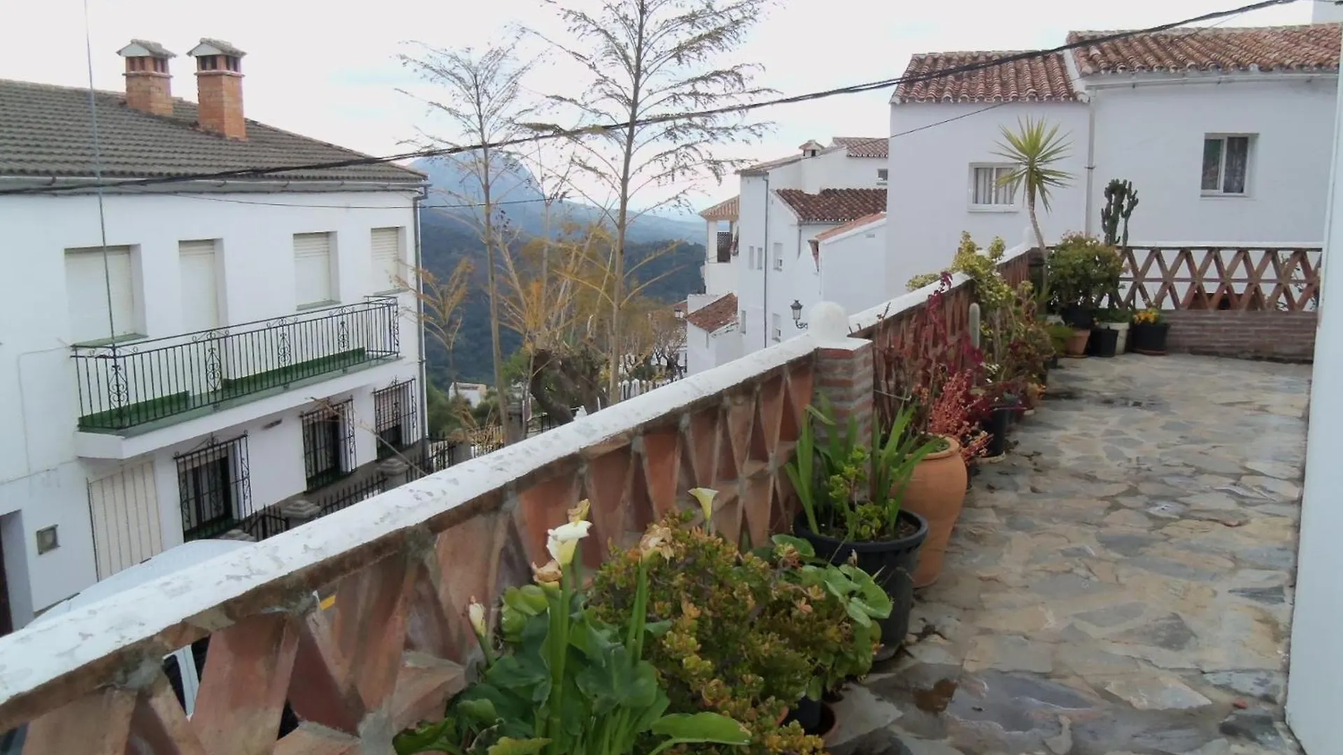 Apartamentos Rurales Jardines Del Visir 헤날과실 스페인
