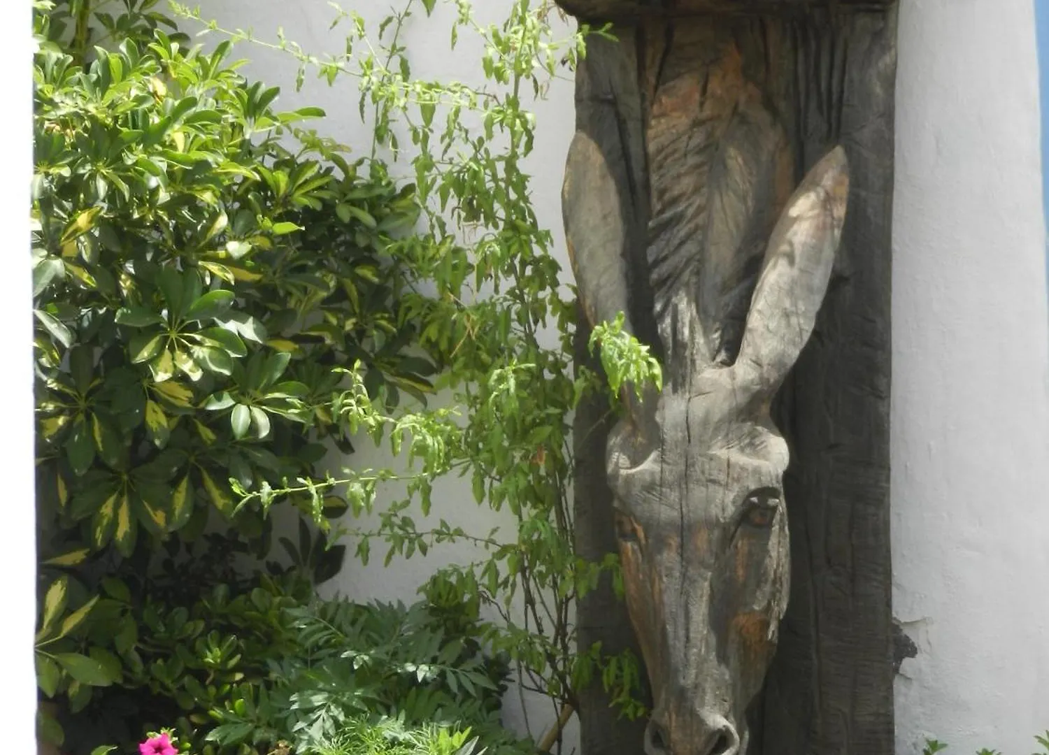 Apartamentos Rurales Jardines Del Visir 헤날과실 아파트