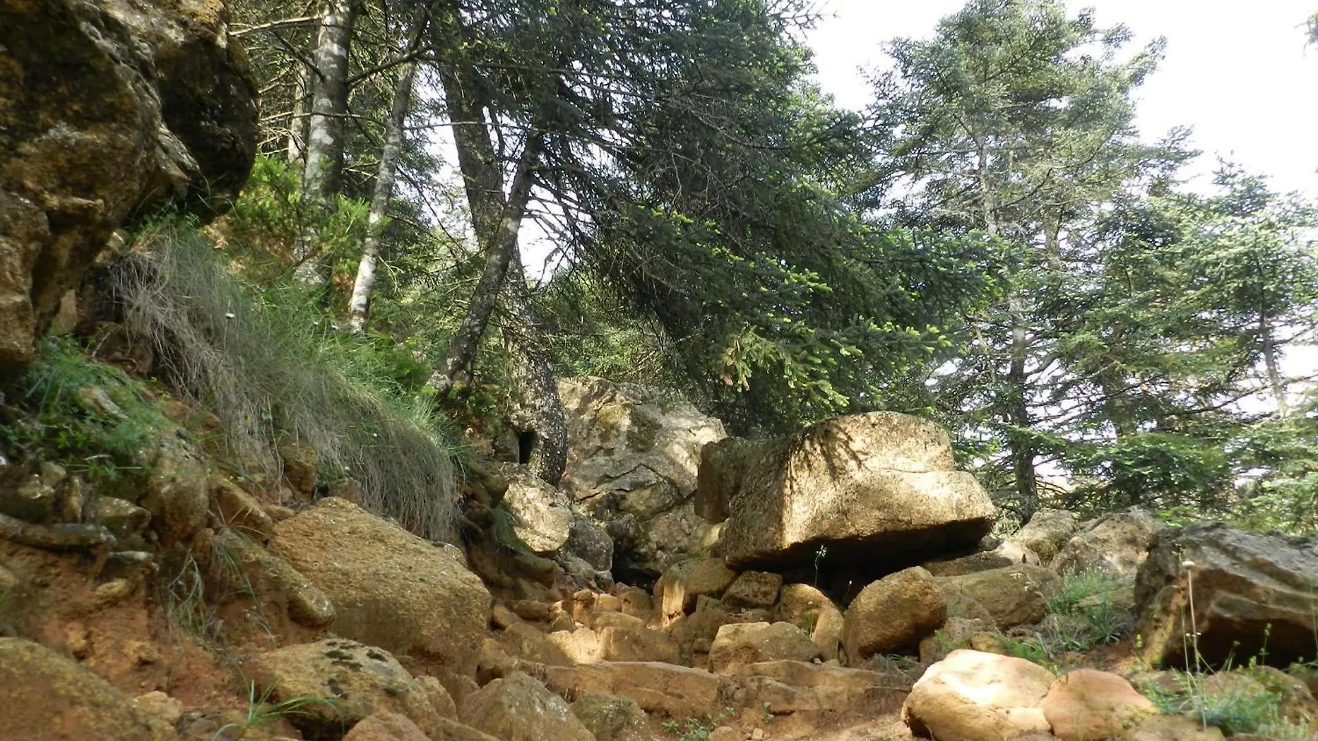 Apartamentos Rurales Jardines Del Visir 헤날과실 아파트