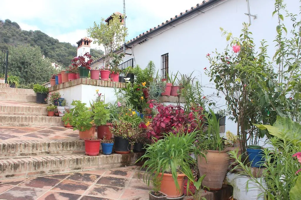 Apartamentos Rurales Jardines Del Visir 헤날과실 아파트