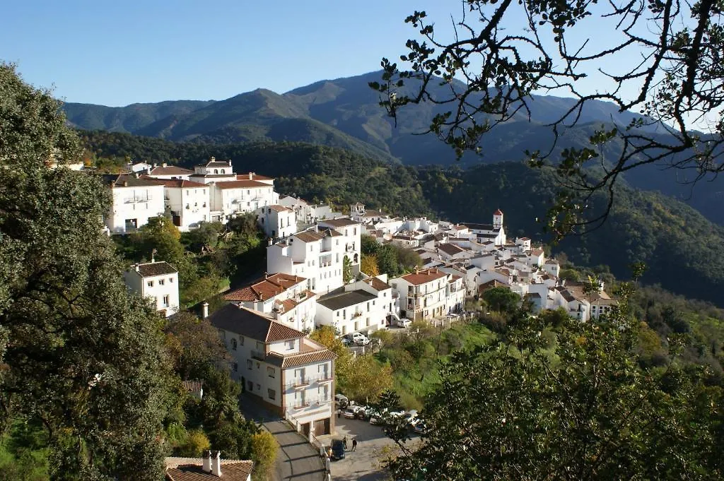 Apartamentos Rurales Jardines Del Visir 헤날과실