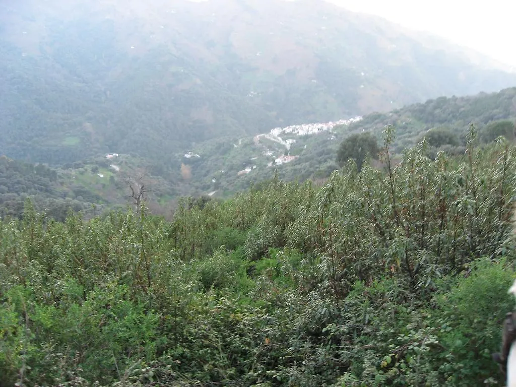 Apartamentos Rurales Jardines Del Visir 헤날과실 0*,